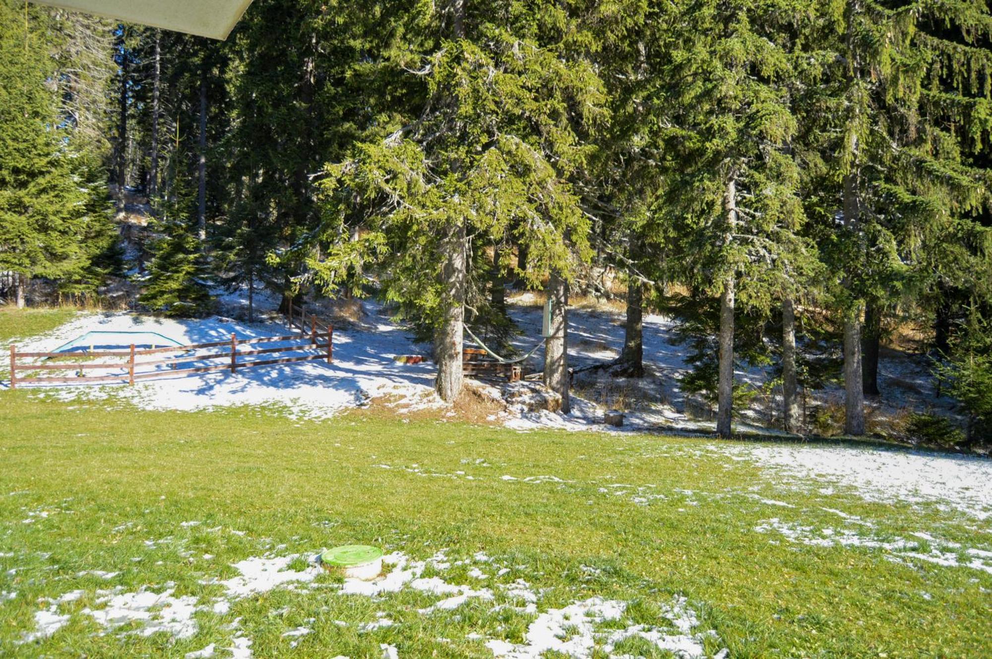 Myplace Pamporovo Апартаменти За Отдих Dış mekan fotoğraf
